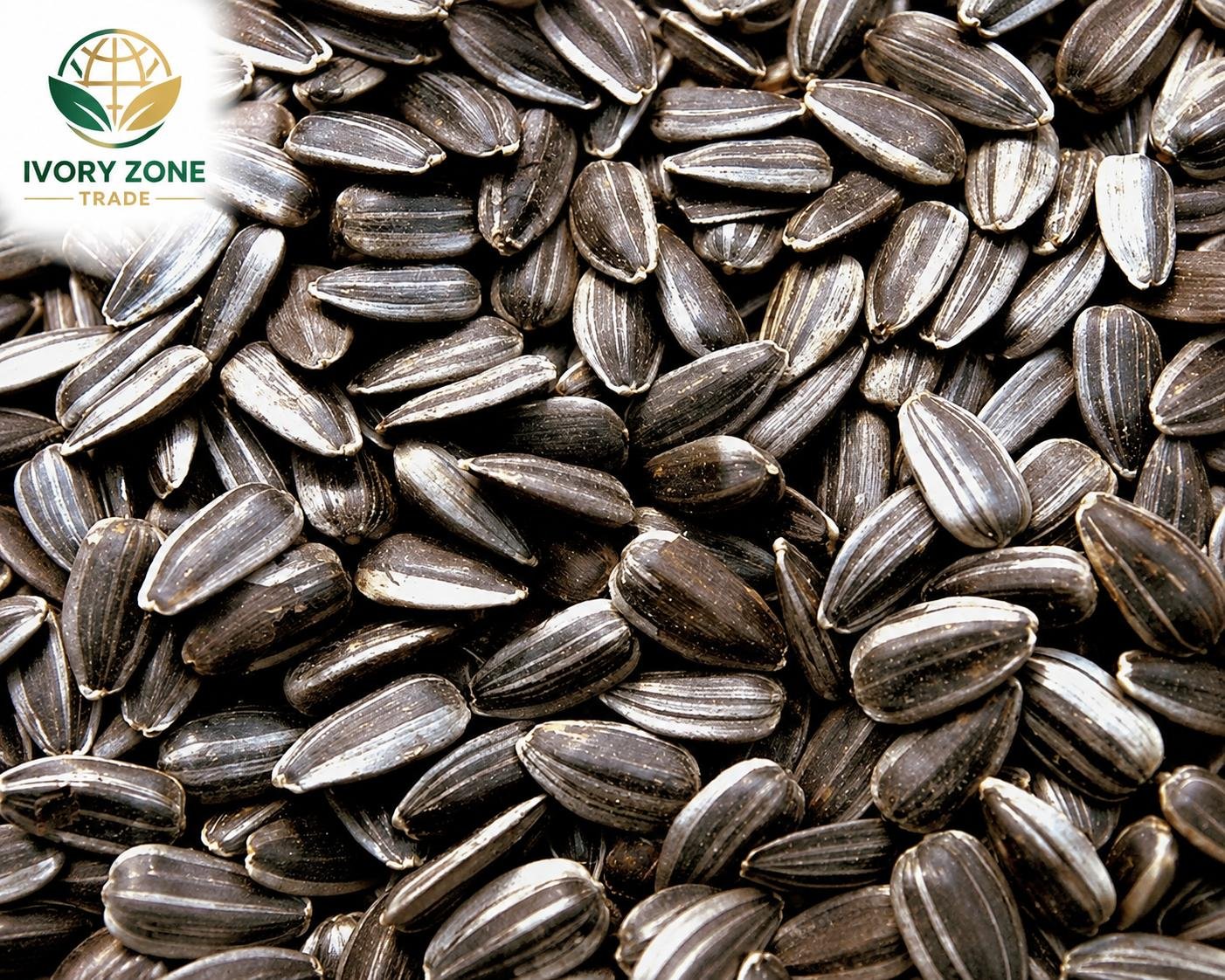 Sunflower Seeds — premium Sudanese export