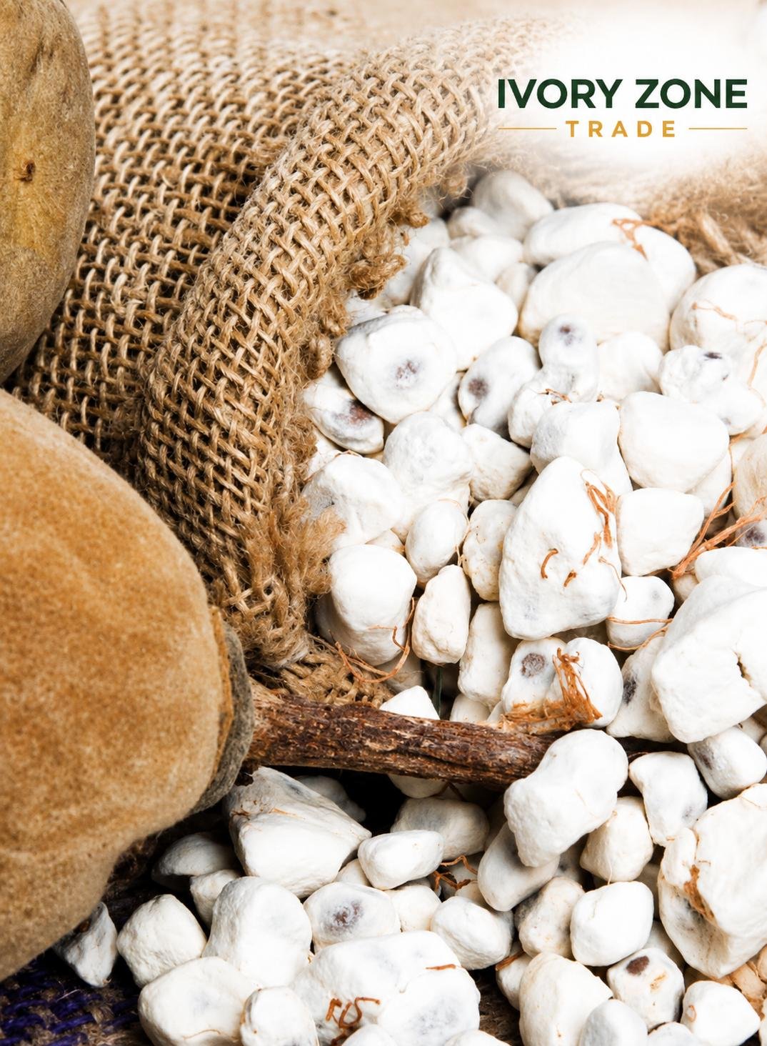 Baobab — premium Sudanese export