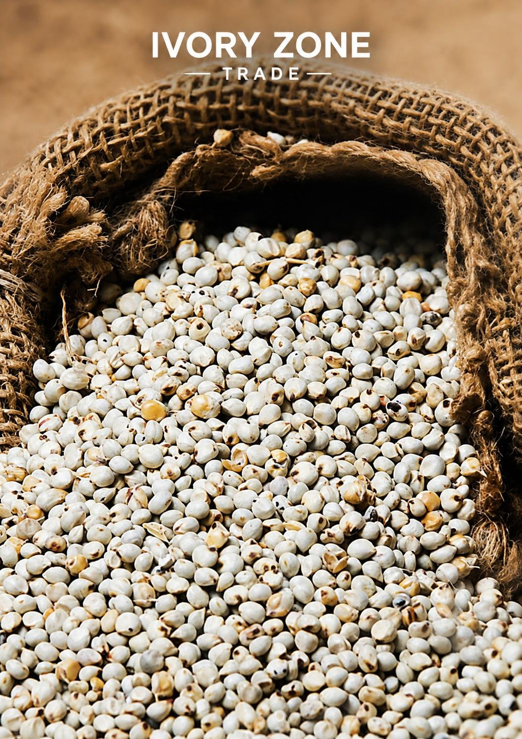 Sorghum — premium Sudanese export