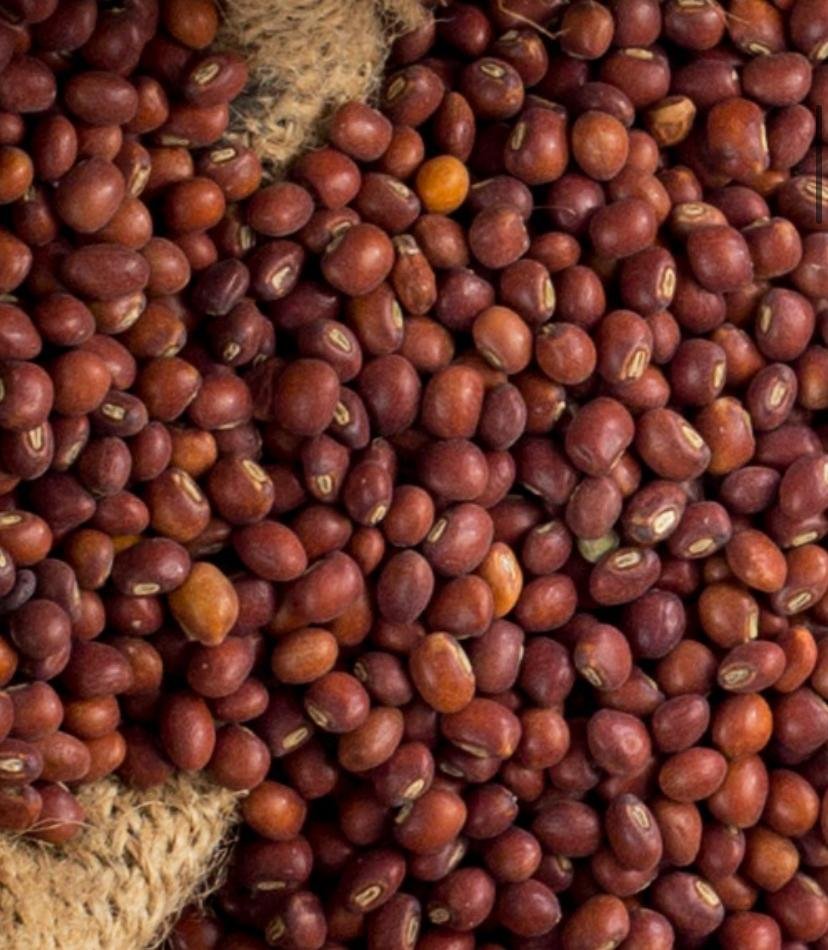 Pigeon Pea — premium Sudanese export