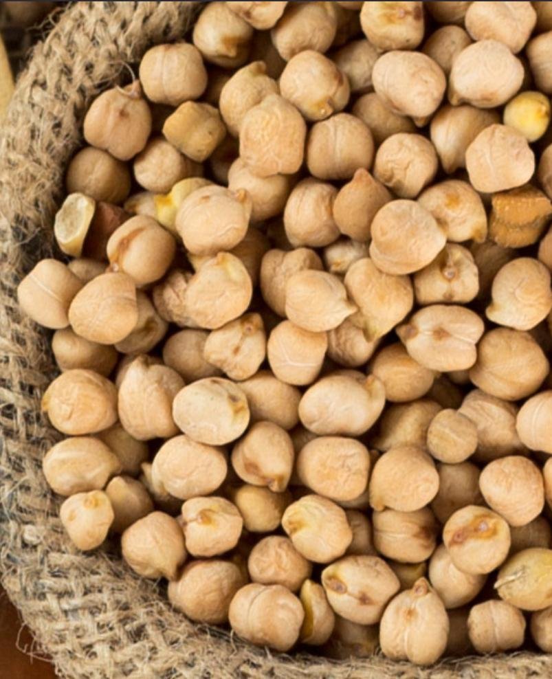 Chickpeas — premium Sudanese export