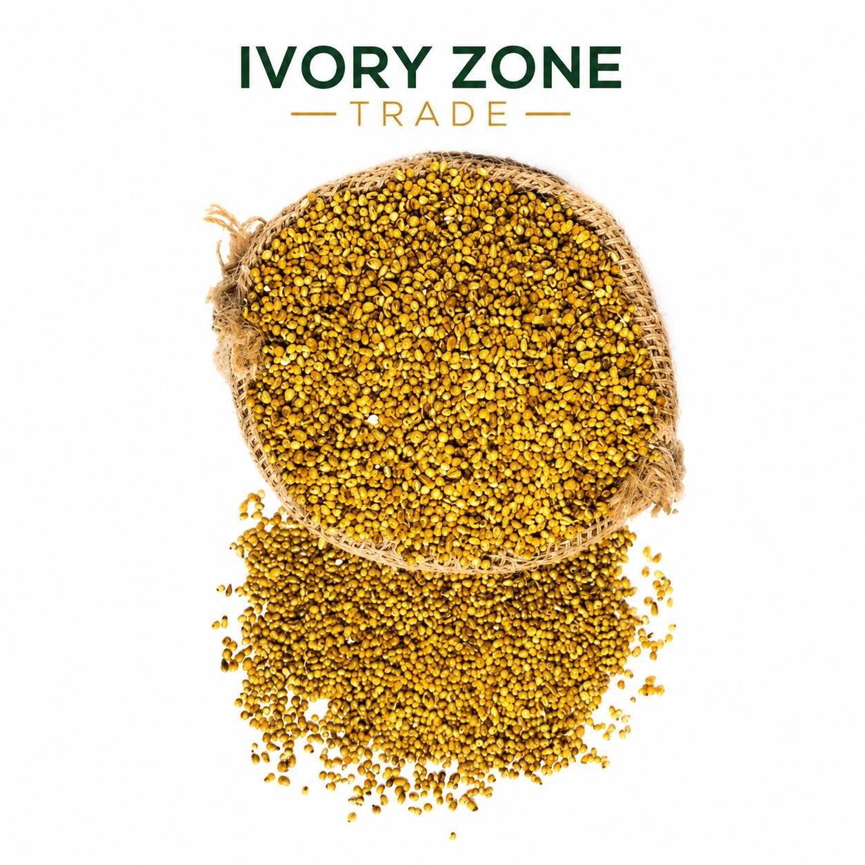 Millet Grains — premium Sudanese export